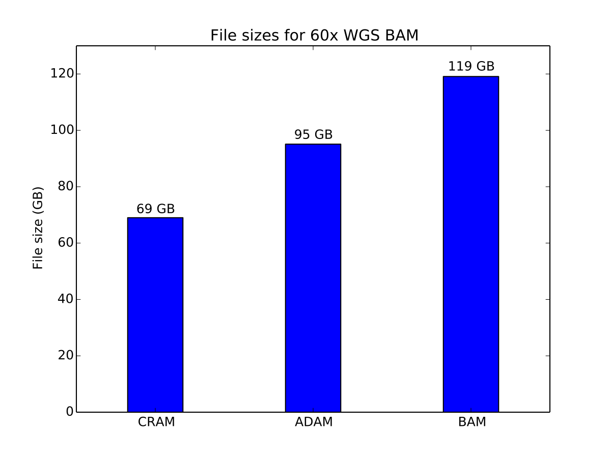 Storage cost of a 60x coverage WGS aligned dataset